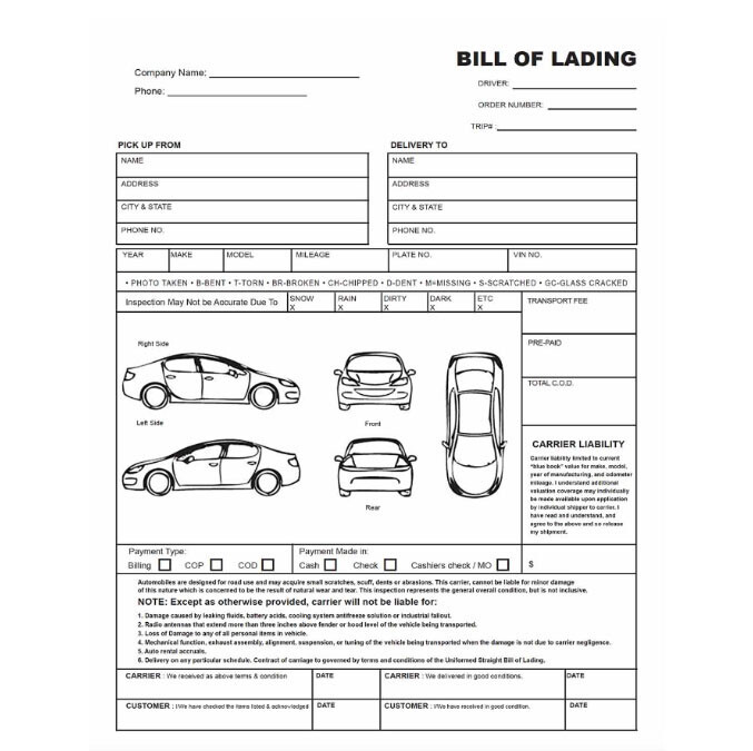 Printable Auto Transport Bill Of Lading Template Free